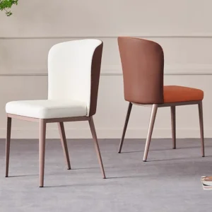Stylish Dinning Chair