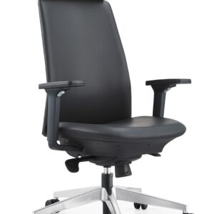 Executive Office Chair