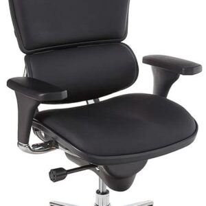 Executive Office Chair