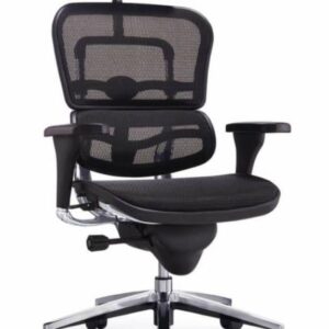 Executive Office Chair