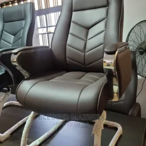 Premium Executive Leather Visitor's Chair