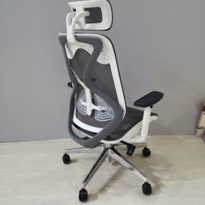 Ergonomic Office Chair