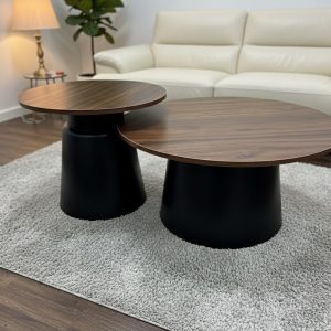 Tola Coffee Table