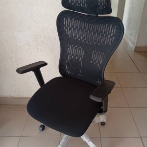 Pro Ergonomic Office Chair