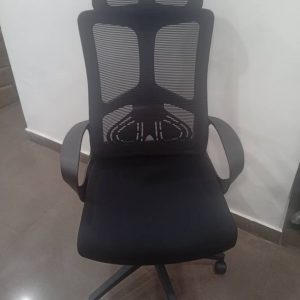 Ergonomic Mesh Office Chair