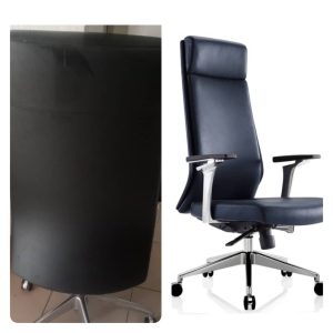 Elite Director Leather Executive Chair