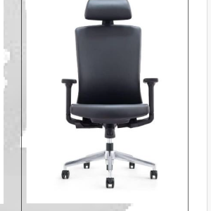 Executive Office Chair