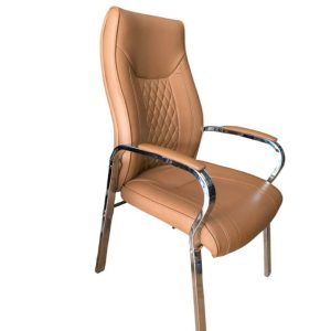 Executive Leather Office Guest Chair