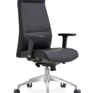 Apex Executive Office Chair
