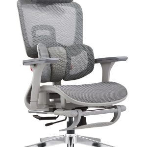 Pro Ergonomic Mesh Chair