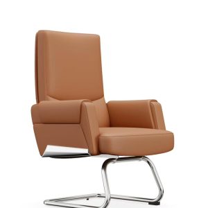 Aura Executive Cantilever Visitor Chair
